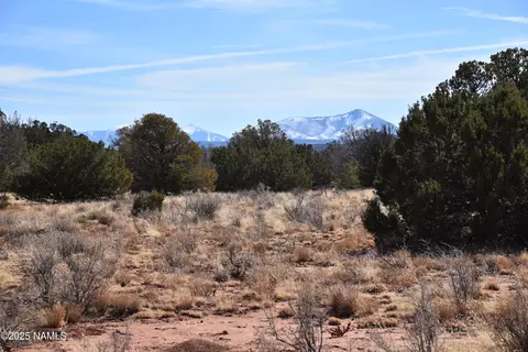 6206 Lasso Loop, Williams, AZ 86046 photo 3