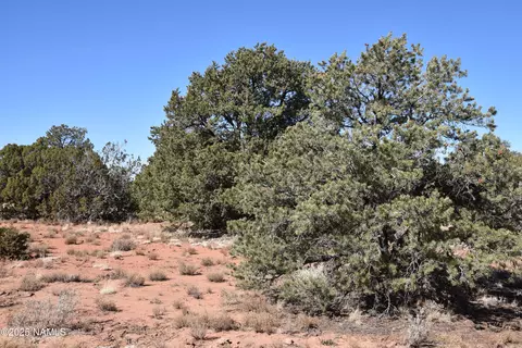 6206 Lasso Loop, Williams, AZ 86046 photo 5