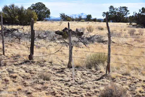 6206 Lasso Loop, Williams, AZ 86046 photo 12