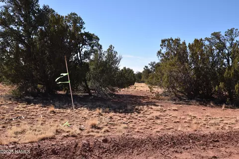 6206 Lasso Loop, Williams, AZ 86046 photo 4