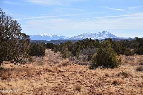 6206 Lasso Loop, Williams, AZ 86046 photo 2