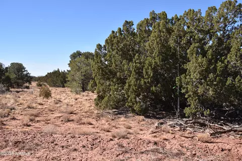 6206 Lasso Loop, Williams, AZ 86046 photo 7