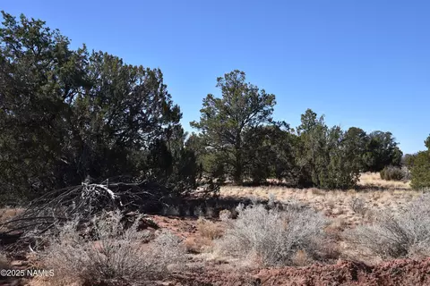 6206 Lasso Loop, Williams, AZ 86046 photo 6