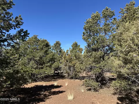 10379 N Overlook Dr, Williams, AZ 86046