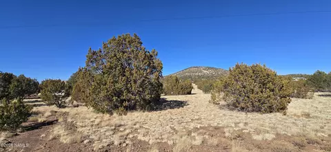 1571 E Brook Hill Rd, Williams, AZ 86046 photo 3