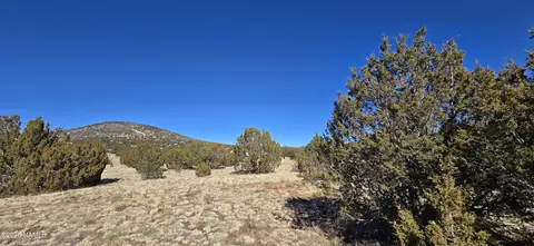 1571 E Brook Hill Rd, Williams, AZ 86046 photo 6