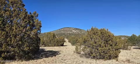 1571 E Brook Hill Rd, Williams, AZ 86046 photo 4