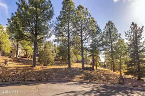 4423 E Moonshadow Ln, Flagstaff, AZ 86004