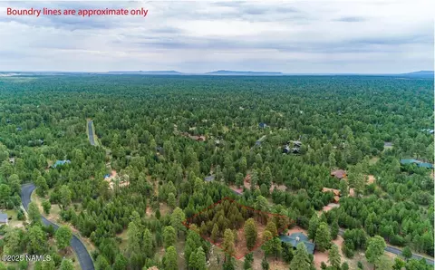 1598 Pine Canyon Dr, Happy Jack, AZ 86024