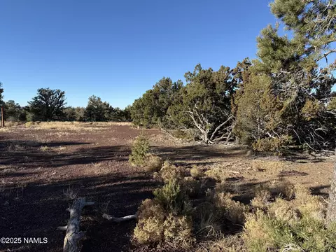 4173 E Parkway Dr, Williams, AZ 86046