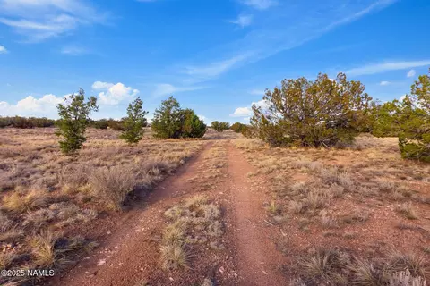 3246 E Lampe Ln, Williams, AZ 86046 photo 6