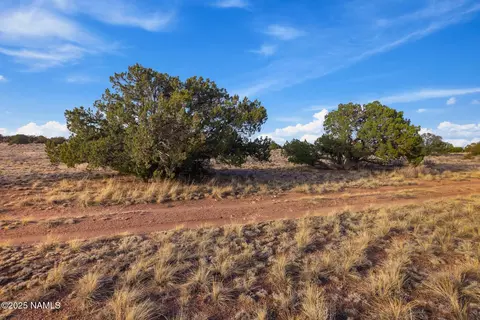 3281 E Lampe Ln, Williams, AZ 86046