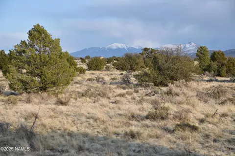 1607 E Stanford Ave, Williams, AZ 86046