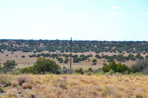 11092 Howard Mesa Loop, Williams, AZ 86046 photo 5