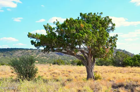 11154 Howard Mesa Loop, Williams, AZ 86046