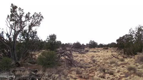 4516 Parker Dr, Williams, AZ 86046