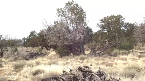 4546 Parker Dr, Williams, AZ 86046