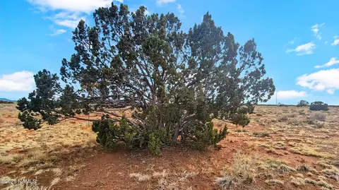 2648 E Antelope Vis, Williams, AZ 86046 photo 3
