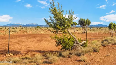2648 E Antelope Vis, Williams, AZ 86046 photo 9