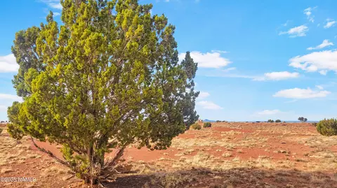 2648 E Antelope Vis, Williams, AZ 86046 photo 8
