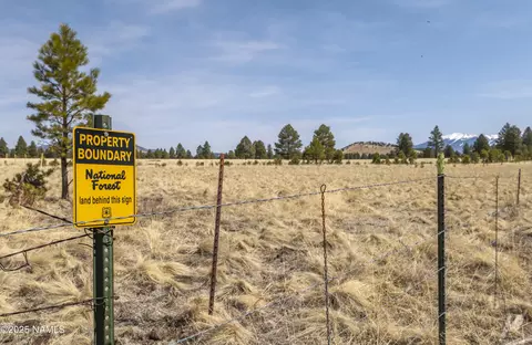 2700 Forrest Ranches Loop, Parks, AZ 86018 photo 12