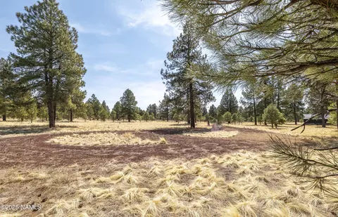 2700 Forrest Ranches Loop, Parks, AZ 86018 photo 25