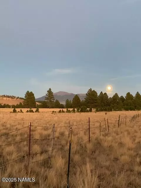 2700 Forrest Ranches Loop, Parks, AZ 86018 photo 6