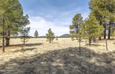 2700 Forrest Ranches Loop, Parks, AZ 86018 photo 22
