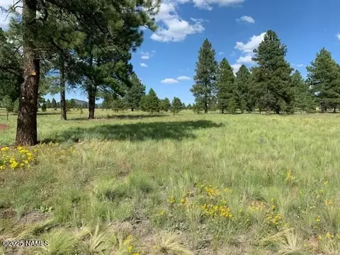 2700 Forrest Ranches Loop, Parks, AZ 86018 photo 4