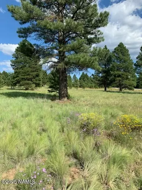 2700 Forrest Ranches Loop, Parks, AZ 86018 photo 3