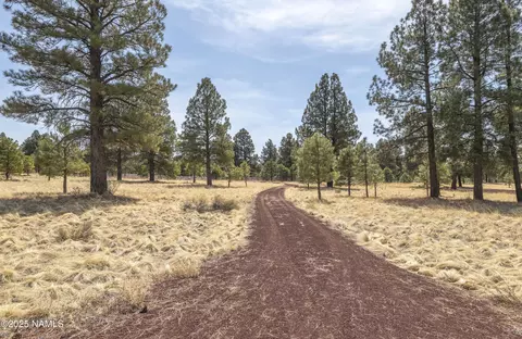 2700 Forrest Ranches Loop, Parks, AZ 86018 photo 29