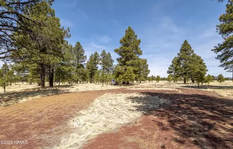 2700 Forrest Ranches Loop, Parks, AZ 86018 photo 11