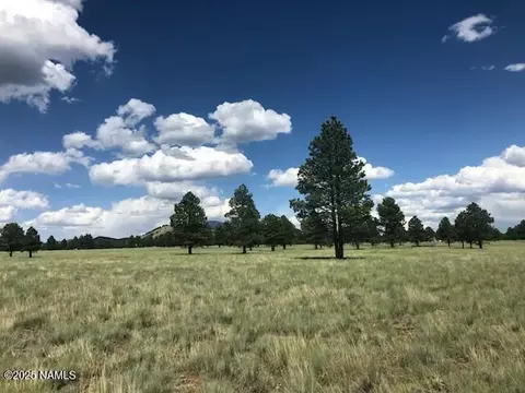 2700 Forrest Ranches Loop, Parks, AZ 86018 photo 2