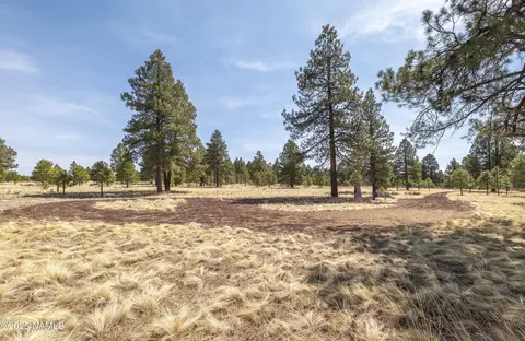 2700 Forrest Ranches Loop, Parks, AZ 86018 photo 26