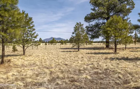 2700 Forrest Ranches Loop, Parks, AZ 86018 photo 24