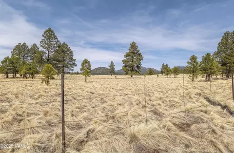 2700 Forrest Ranches Loop, Parks, AZ 86018 photo 28