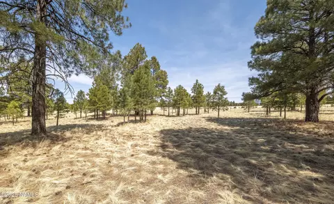 2700 Forrest Ranches Loop, Parks, AZ 86018 photo 21
