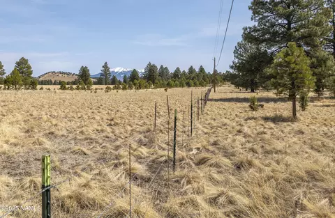 2700 Forrest Ranches Loop, Parks, AZ 86018 photo 23