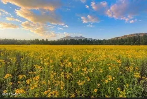 7050 Moroni Dr # B, Flagstaff, AZ 86001