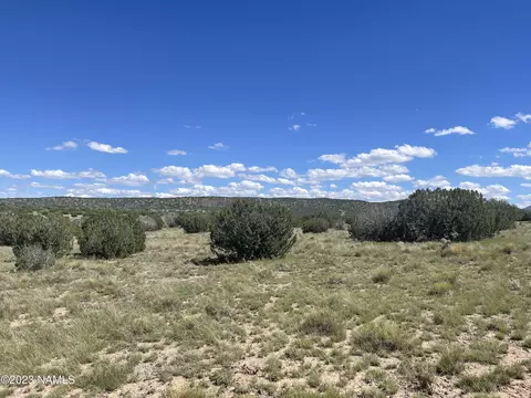 2272 W Critter Pass, Williams, AZ 86046