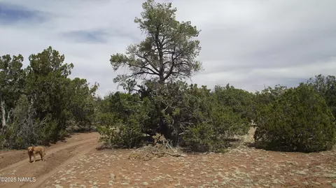 591 E Running Bear Rd, Williams, AZ 86046