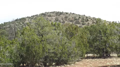 591 E Running Bear Rd, Williams, AZ 86046 photo 8