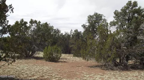 591 E Running Bear Rd, Williams, AZ 86046 photo 6