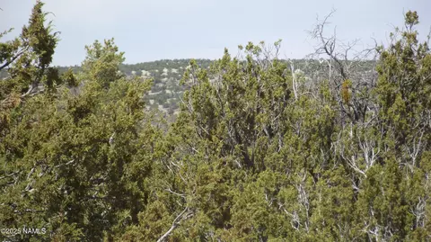 591 E Running Bear Rd, Williams, AZ 86046 photo 9