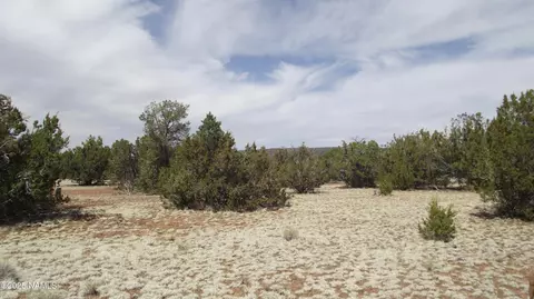 591 E Running Bear Rd, Williams, AZ 86046 photo 3