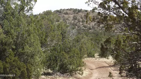 591 E Running Bear Rd, Williams, AZ 86046 photo 7