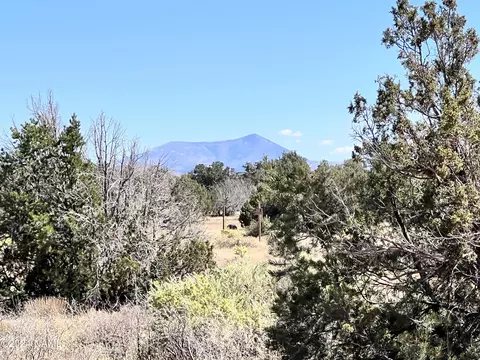2348 S Poppy Ln, Williams, AZ 86046