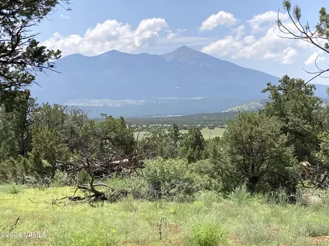 23320 Forest Service 548 Rd, Flagstaff, AZ 86001