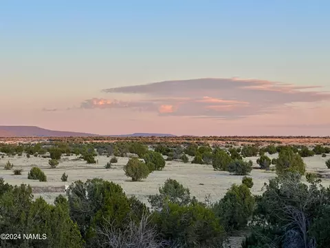 317 Forest Line Cir, Ash Fork, AZ 86320
