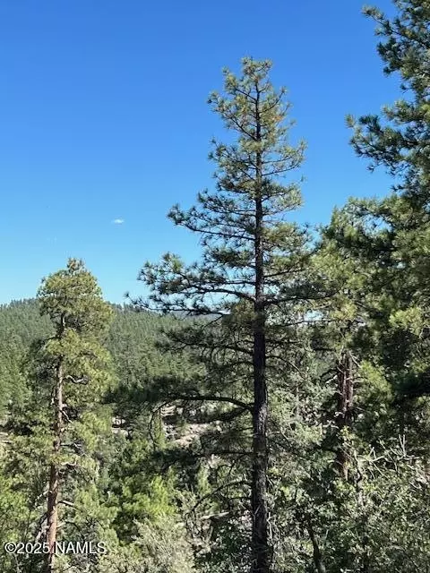 1642 Canyon View Loop, Williams, AZ 86046 photo 1
